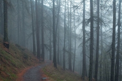 How SCT Helps Children with Auditory Processing Disorder